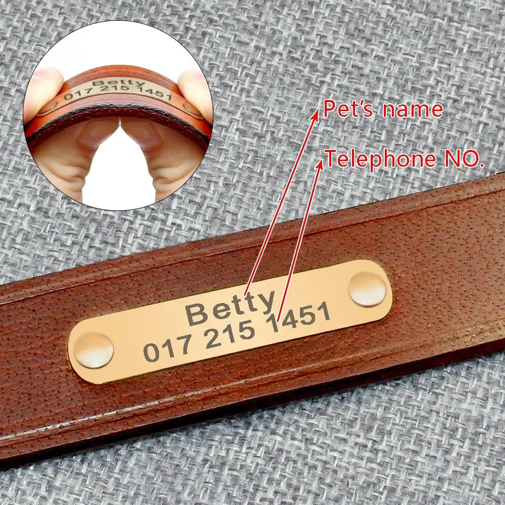 Personalized Dog ID Collar Genuine Leather\ Dogs Cat Collar Custom