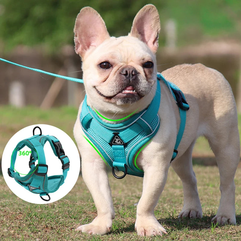 No Pull Dog Harness and Leash Set Adjustable
