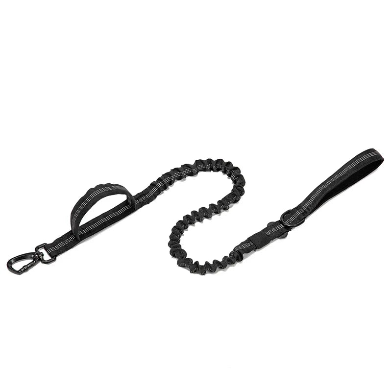Pet Dog Collar with leash