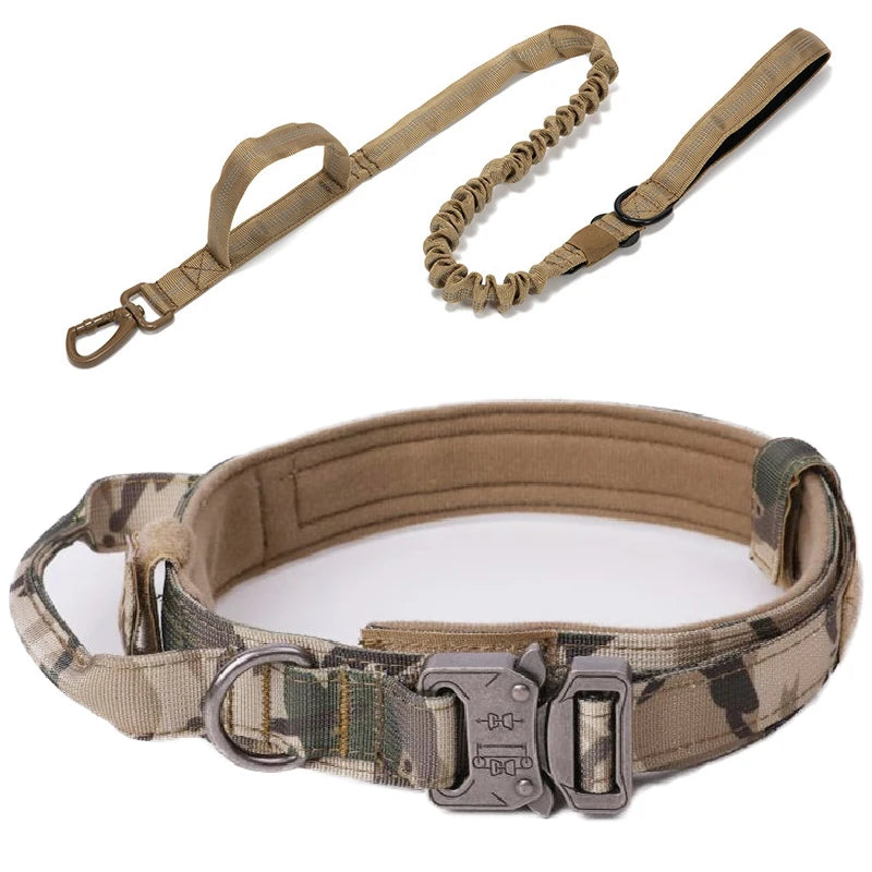 Pet Dog Collar with leash