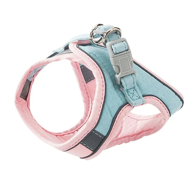 Cat Harness Leash Set for small pets