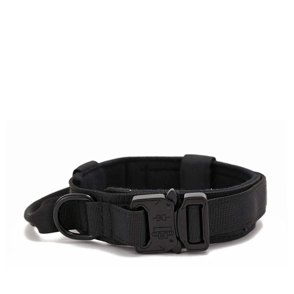 Pet Dog Collar with leash