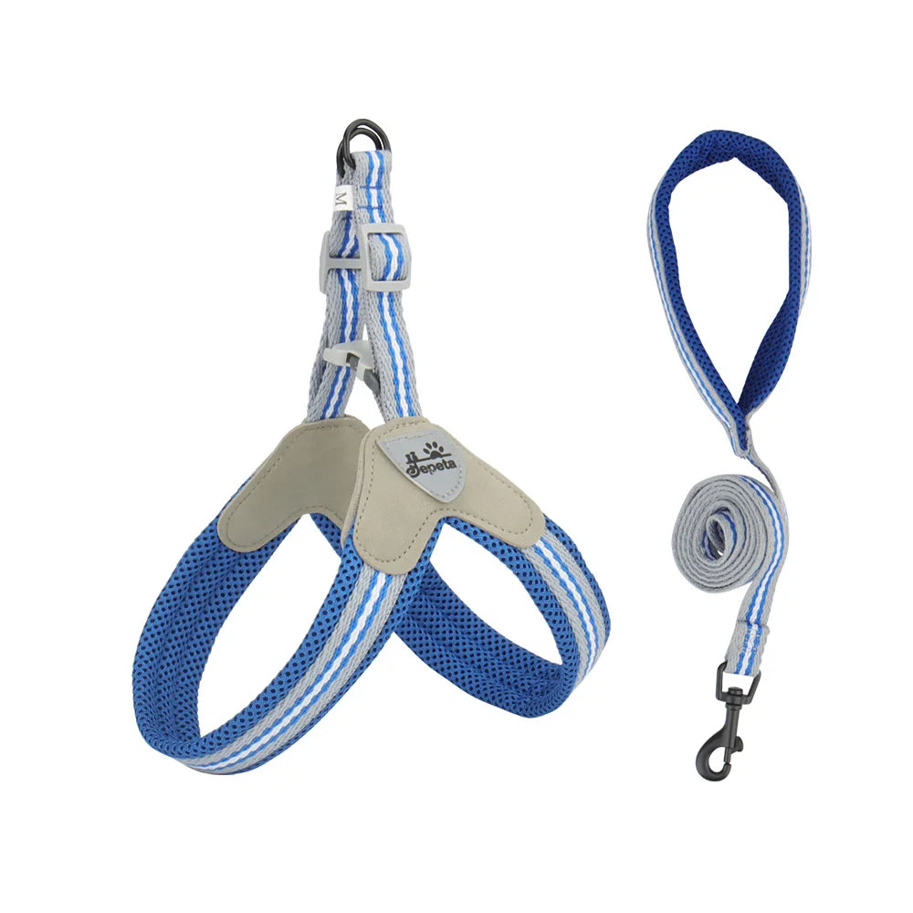 Vest Style Dog Harness Leash Set