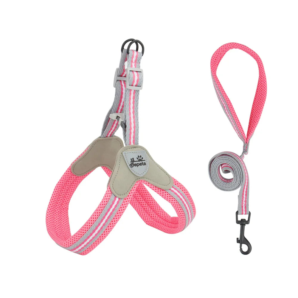 Vest Style Dog Harness Leash Set