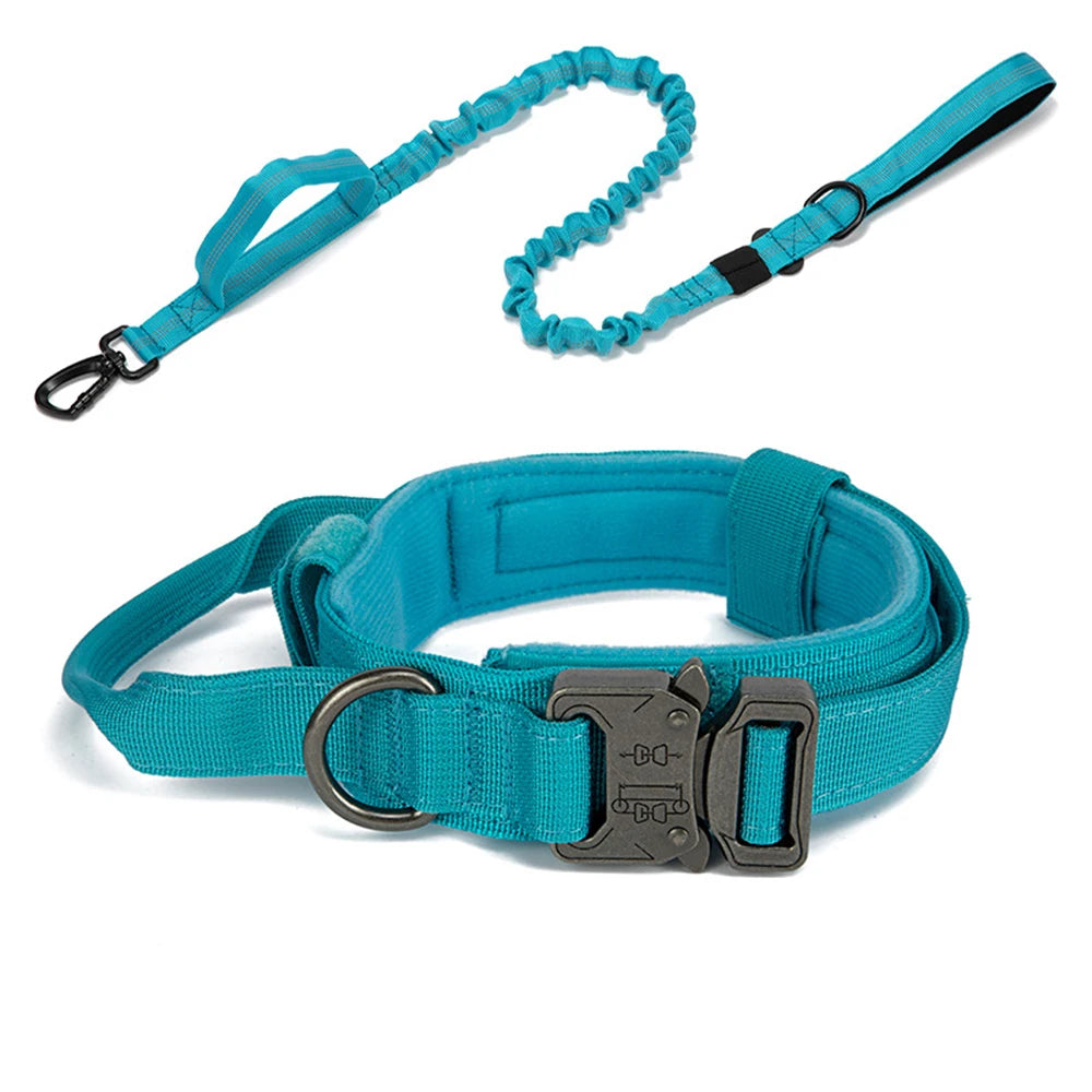 Pet Dog Collar with leash