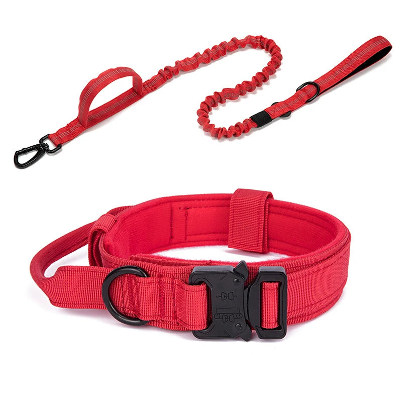 Pet Dog Collar with leash