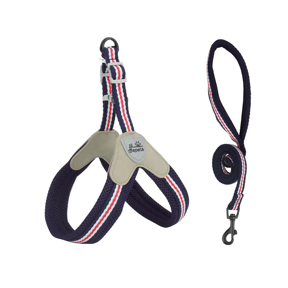 Vest Style Dog Harness Leash Set