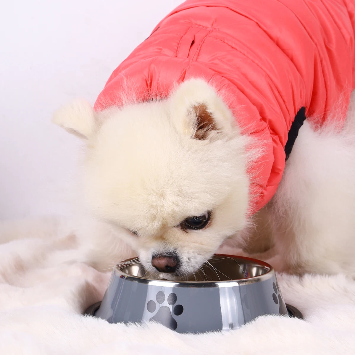 1PC Stainless Steel Pet Bowl Cat Bowl Dog Food