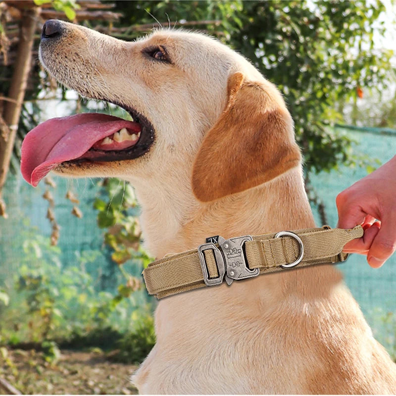 Pet Dog Collar with leash