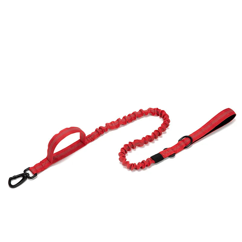 Pet Dog Collar with leash