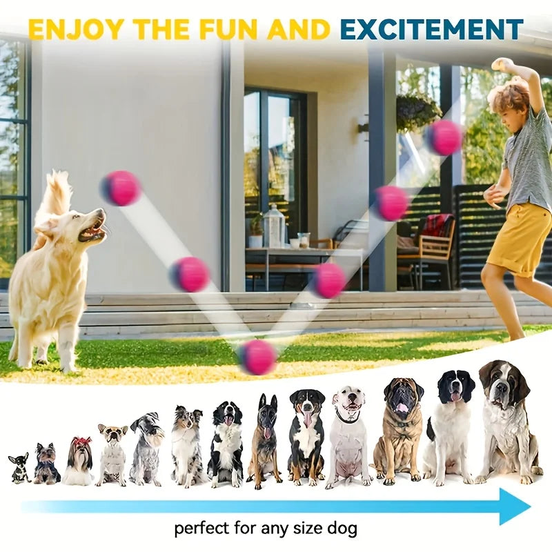 2-Pack Striped Squeaky Dog Balls,Durable TPR Chew Toys for Dental Health & Training,Non-Toxic,Bite-Resistant,All Breed Sizes