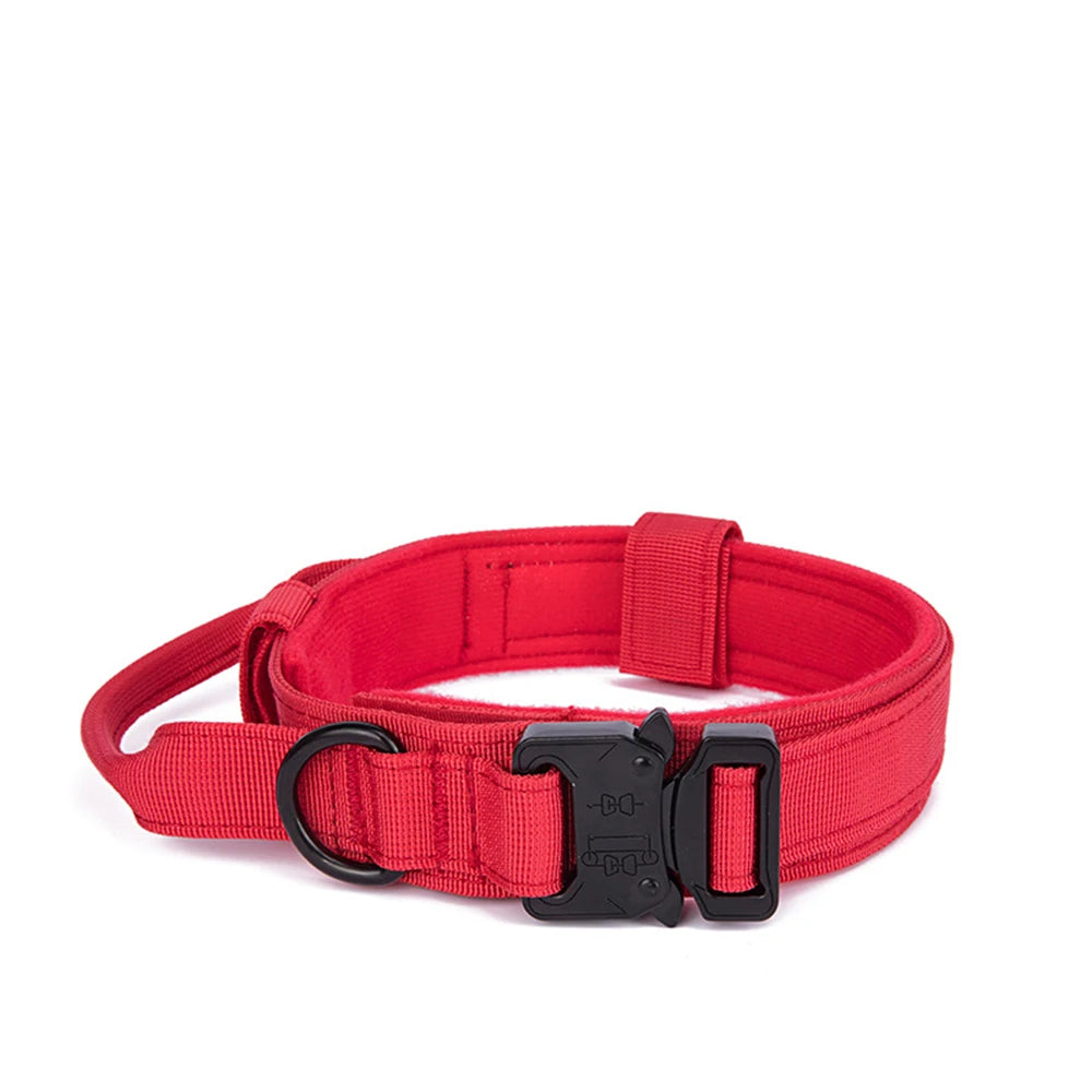 Pet Dog Collar with leash