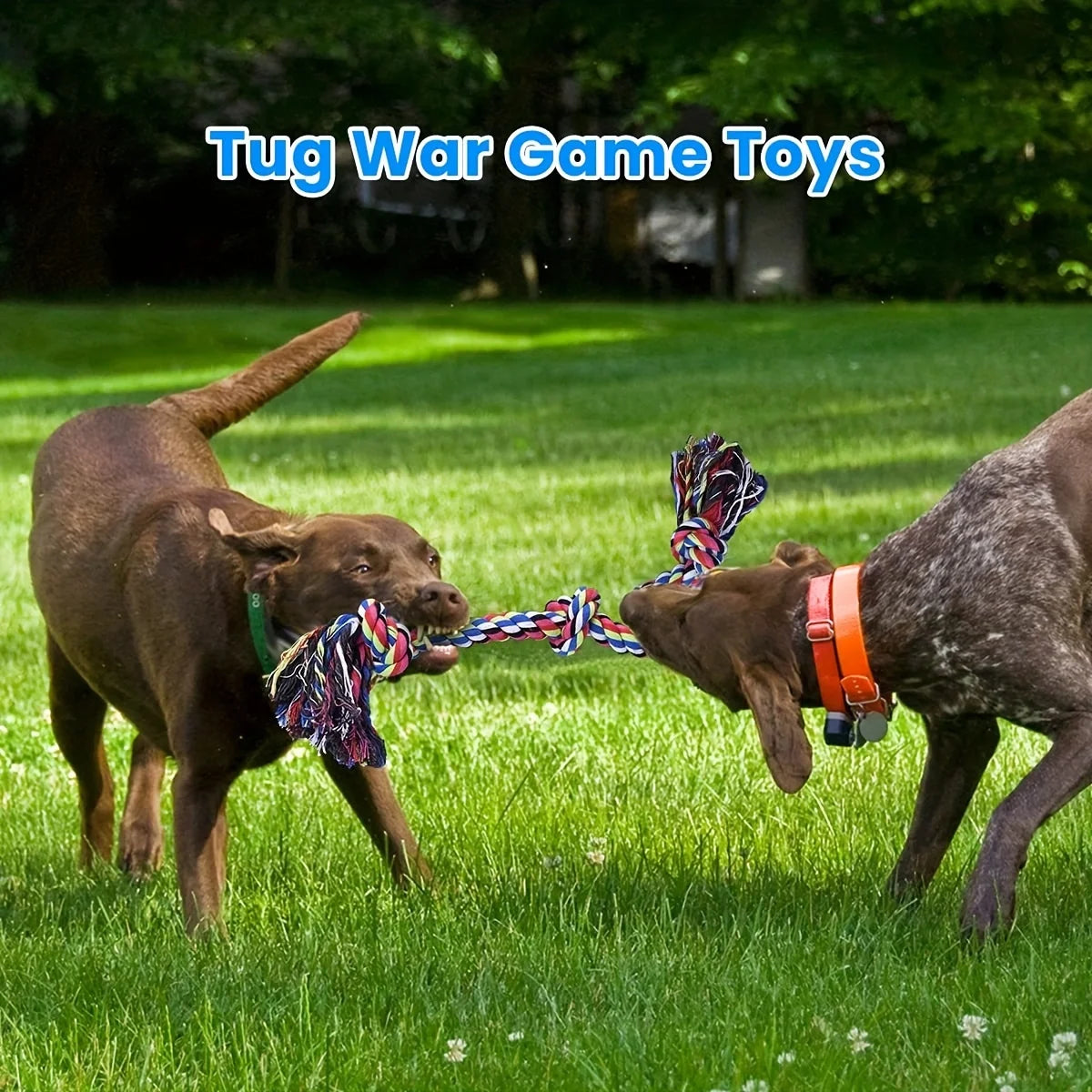 Knot Dog Toys