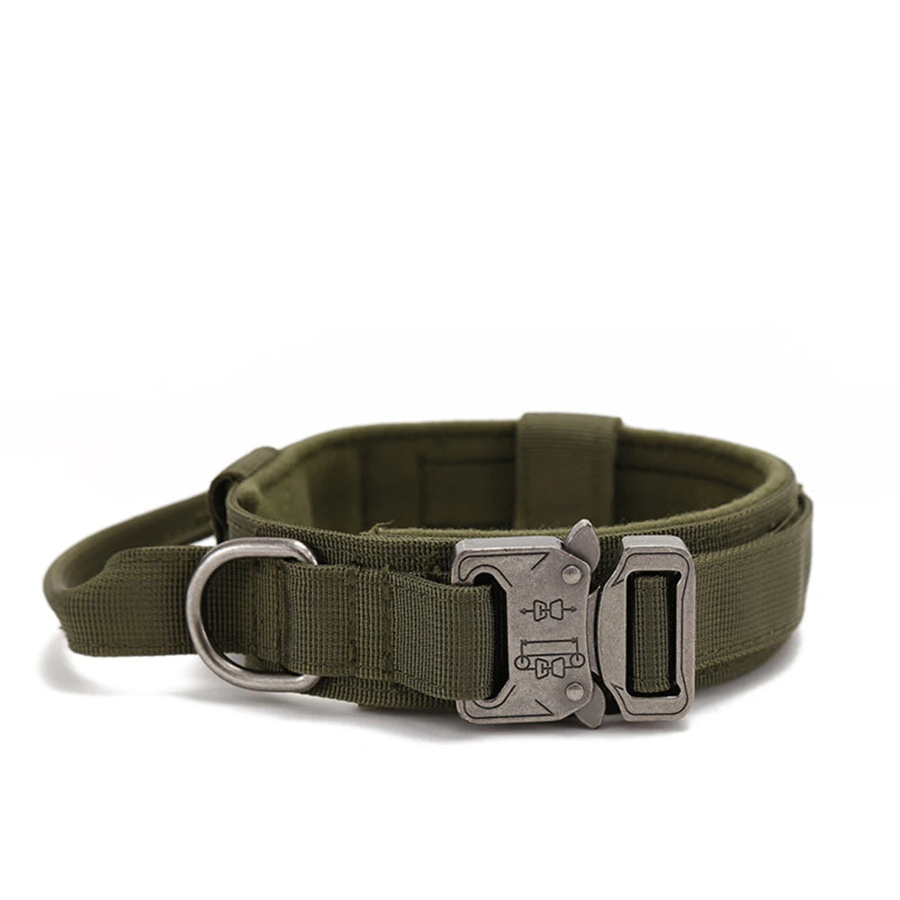 Pet Dog Collar with leash