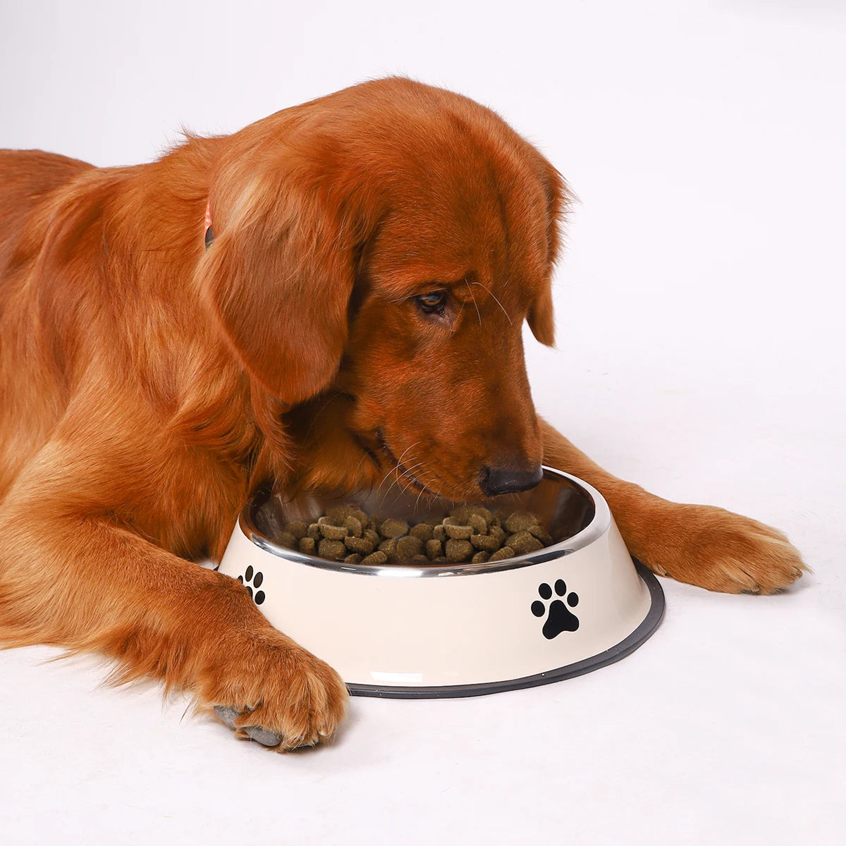 1PC Stainless Steel Pet Bowl Cat Bowl Dog Food