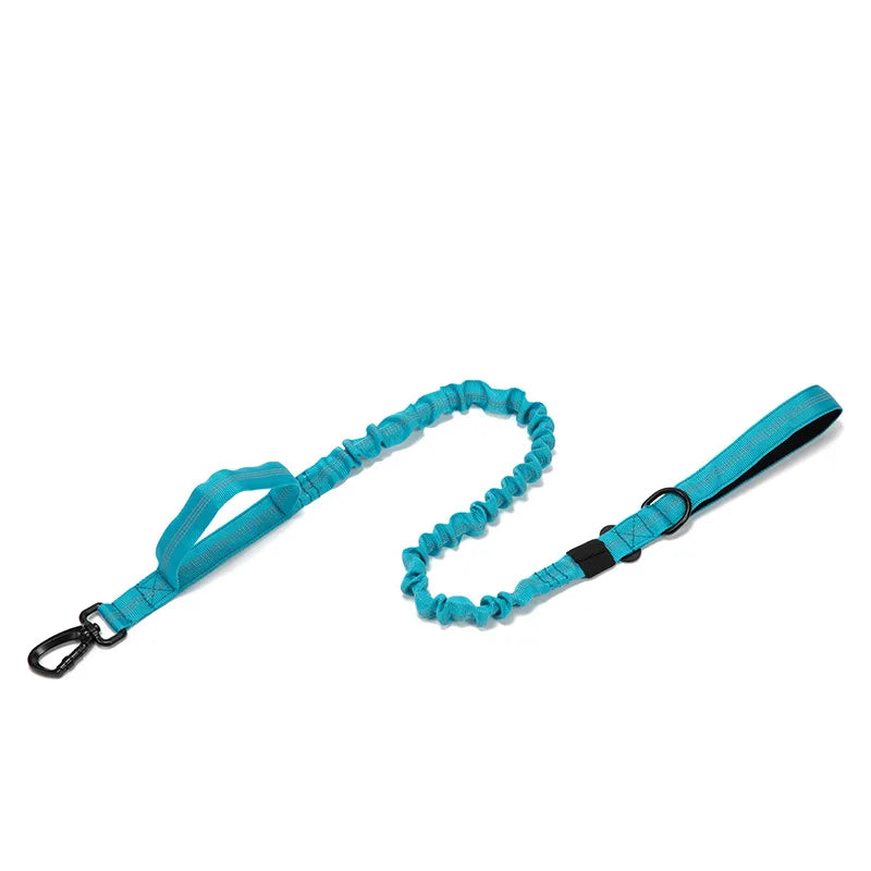 Pet Dog Collar with leash