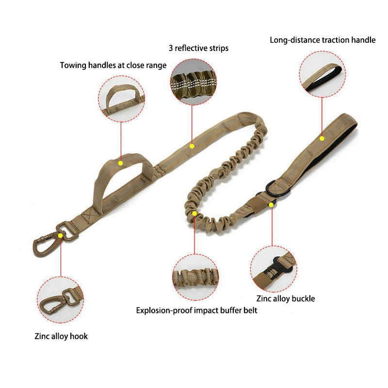 Pet Dog Collar with leash