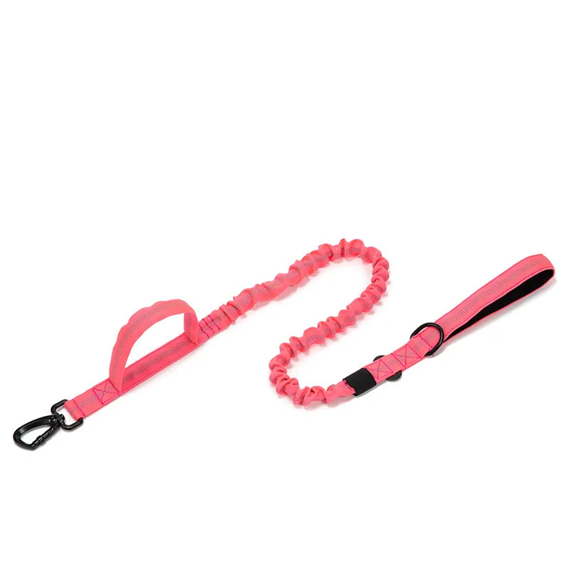 Pet Dog Collar with leash