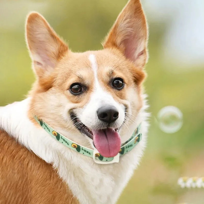 Adjustable Anti-Parasite Collar - Flea & Mosquito Protection for Pets 3 Sizes for Pets Functional Style Collars Nylon Material