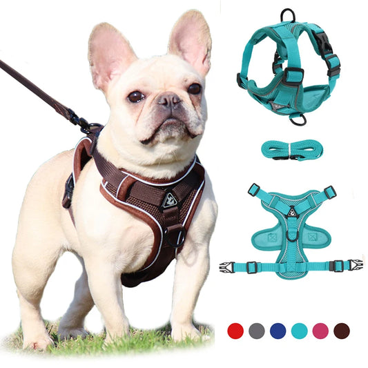 No Pull Dog Harness and Leash Set Adjustable
