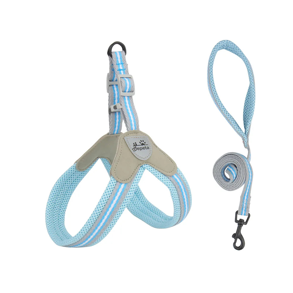 Vest Style Dog Harness Leash Set