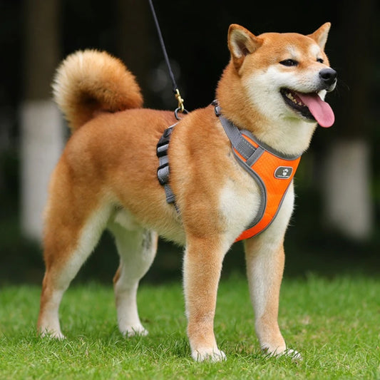 Medium Large Dog Chest Harness Explosion-proof Punch Vest Style Reflective Large Pet Carrier