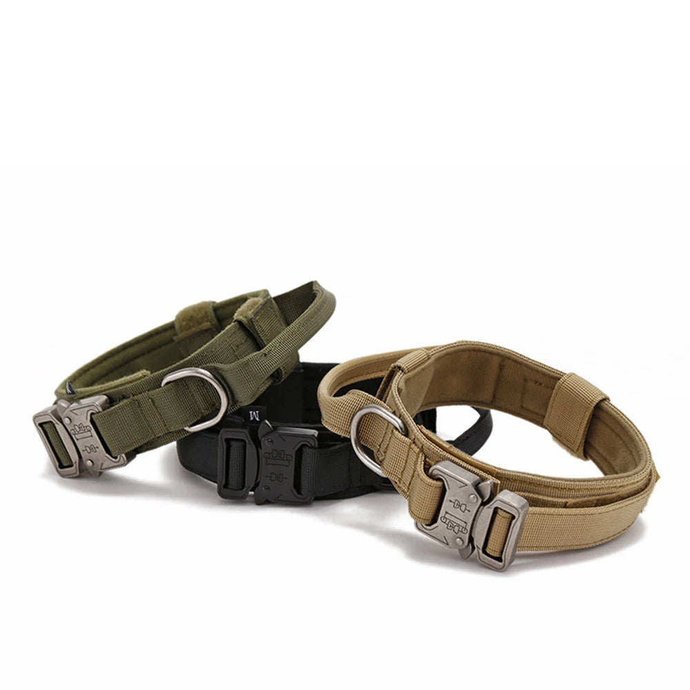 Pet Dog Collar with leash