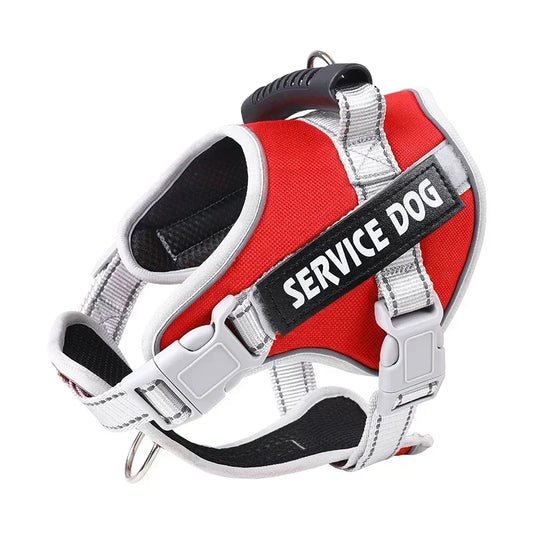 Service Dog Harness with Custom ID Tag Outdoor
