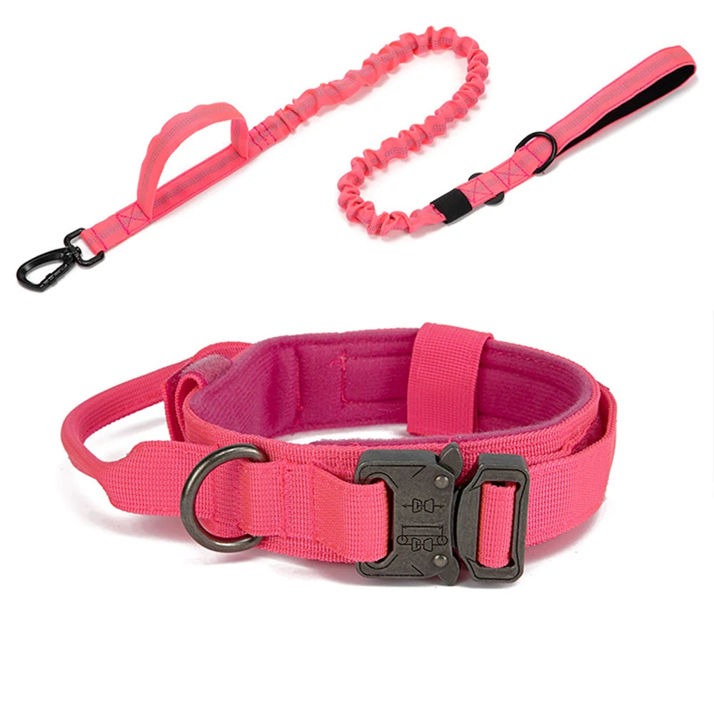 Pet Dog Collar with leash