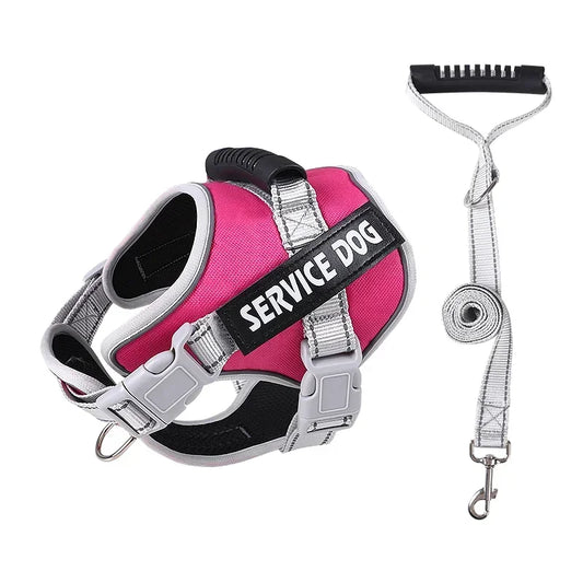 Service Dog Harness with Custom ID Tag Outdoor