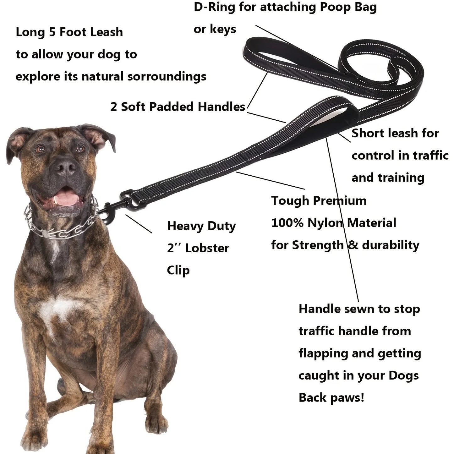 Dog Leashes Outdoor Travel Dog Training leash