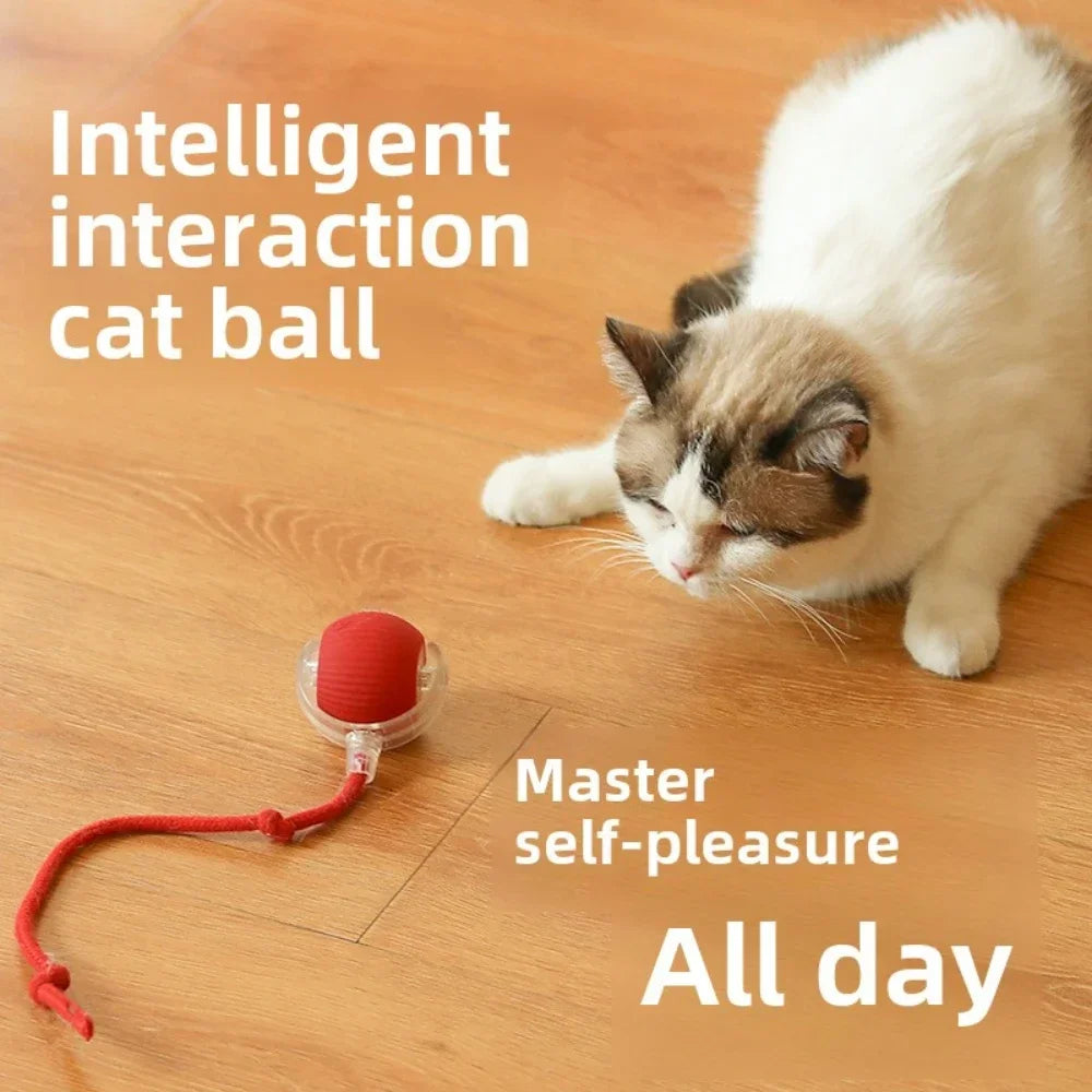 Rechargeable Pet Interactive Automatic Rolling ball