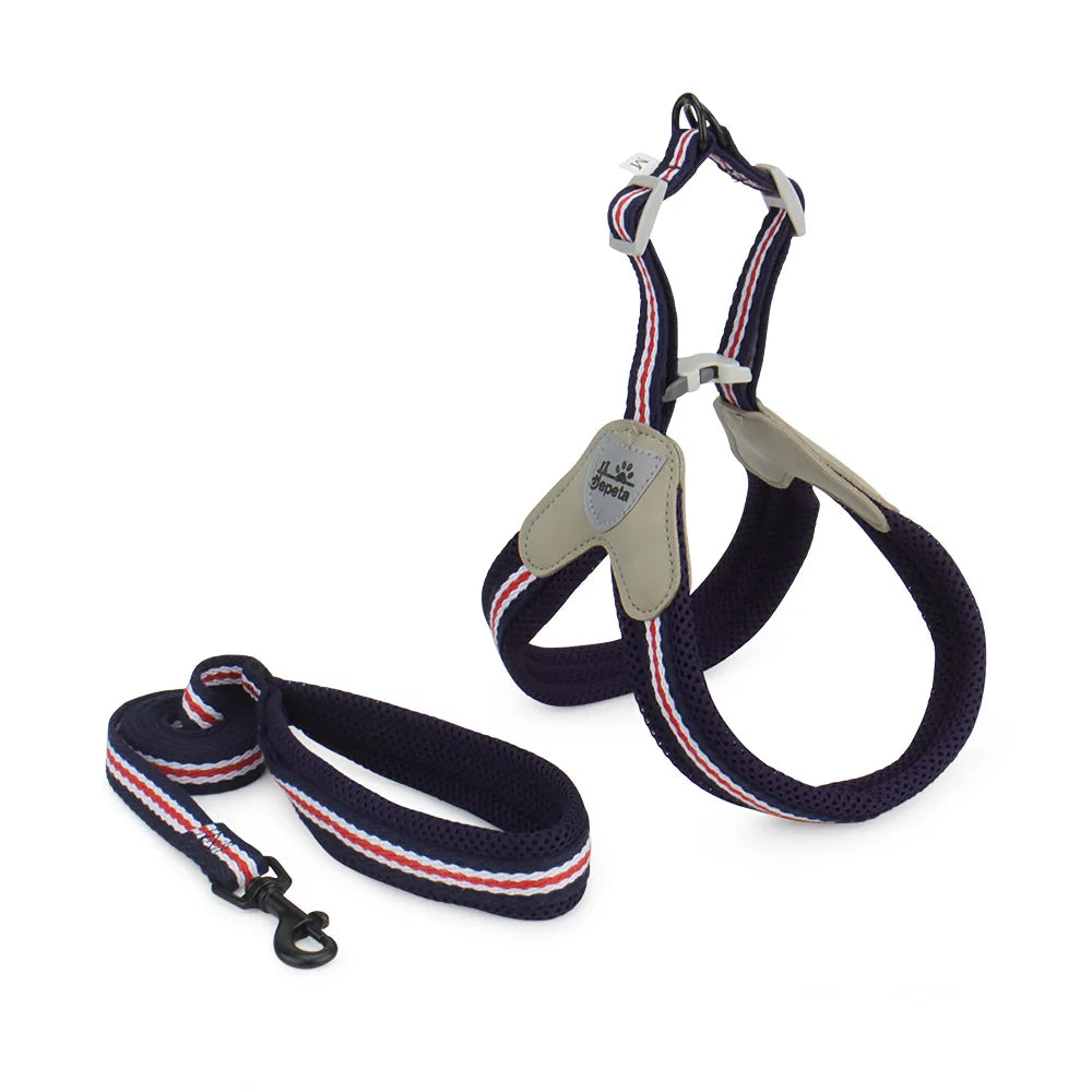 Vest Style Dog Harness Leash Set