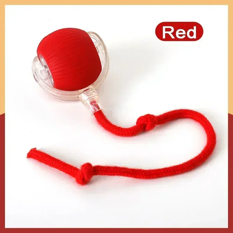 Rechargeable Pet Interactive Automatic Rolling ball