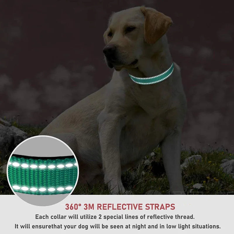 Reflective Dog Collar Strap