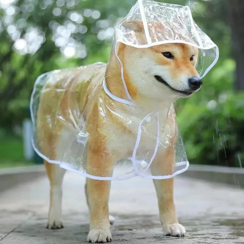 Pet Dog Puppy Transparent Rainwear Raincoat Pet