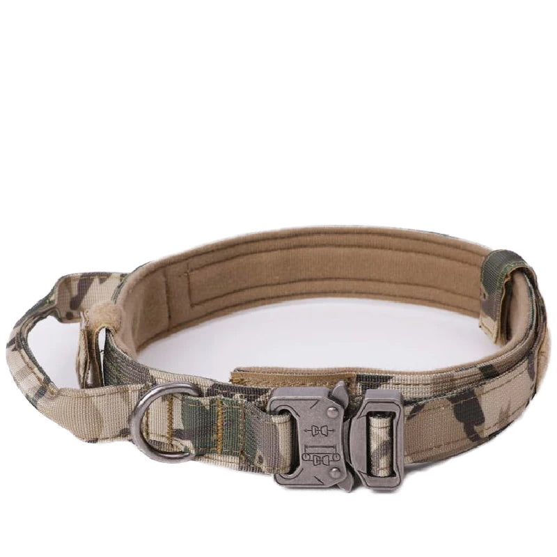Pet Dog Collar with leash