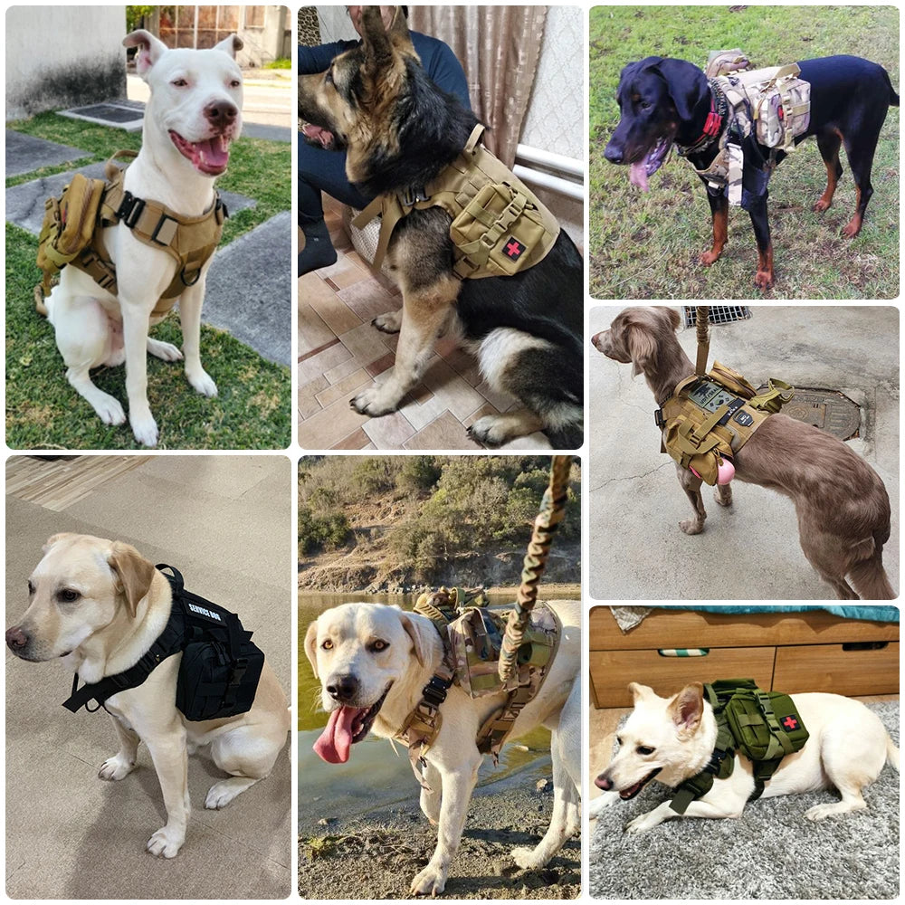 Harness Collar Leash Set Military Dog Harnesses