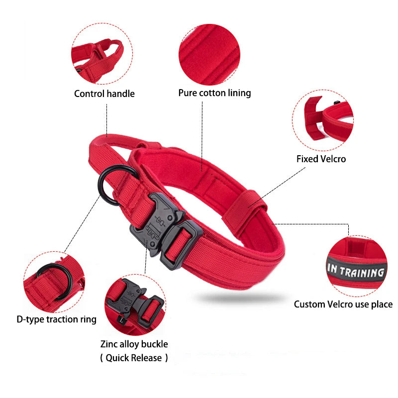 Pet Dog Collar with leash