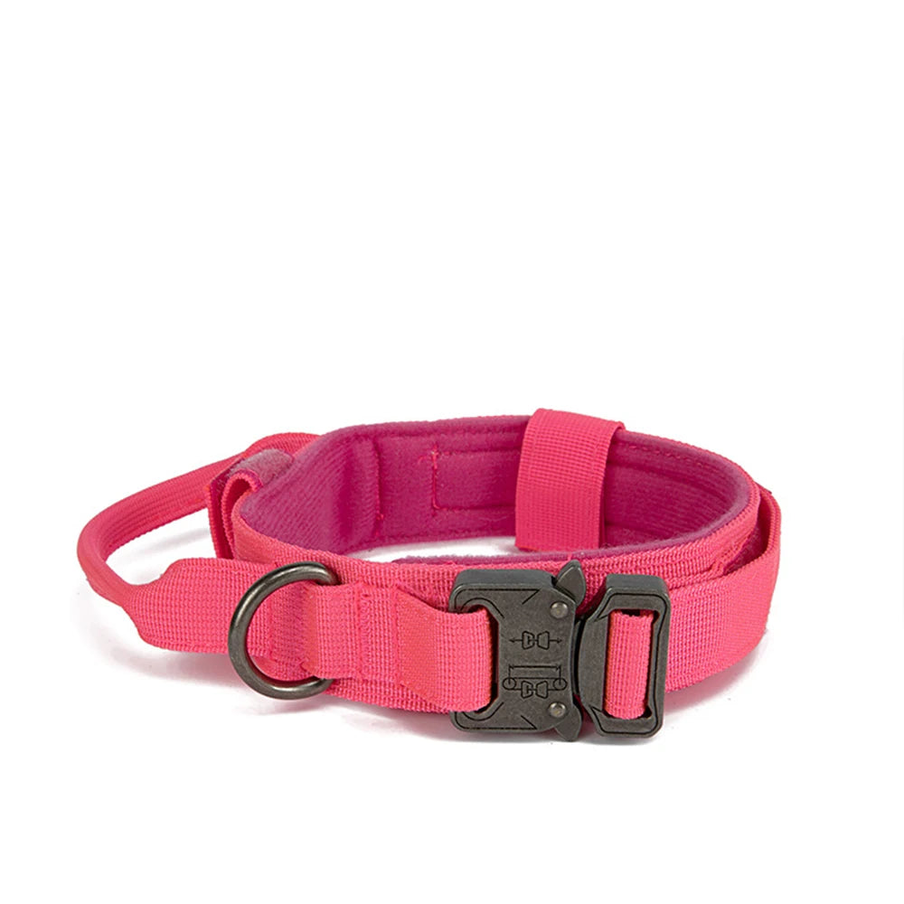 Pet Dog Collar with leash