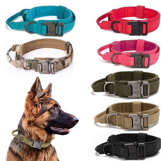Pet Dog Collar with leash