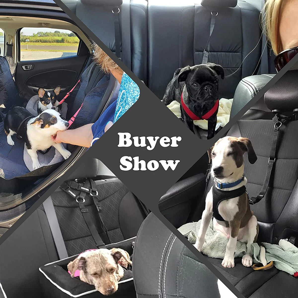 1pc Pet Dog And Cat Seat Belt, Car Seat Belt