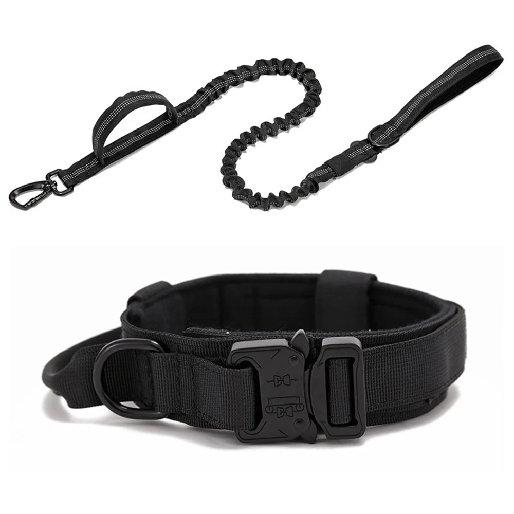 Pet Dog Collar with leash