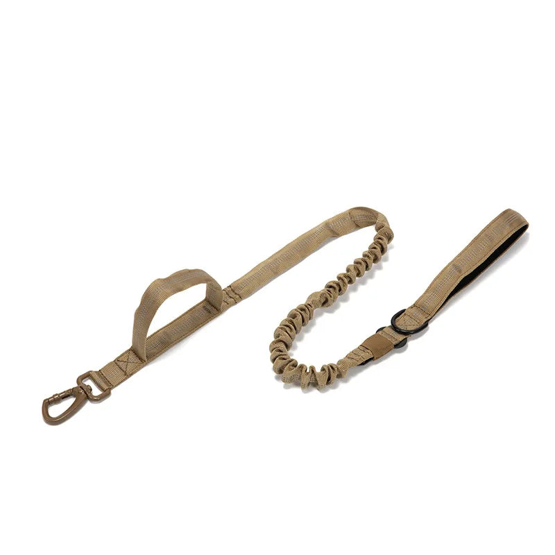 Pet Dog Collar with leash