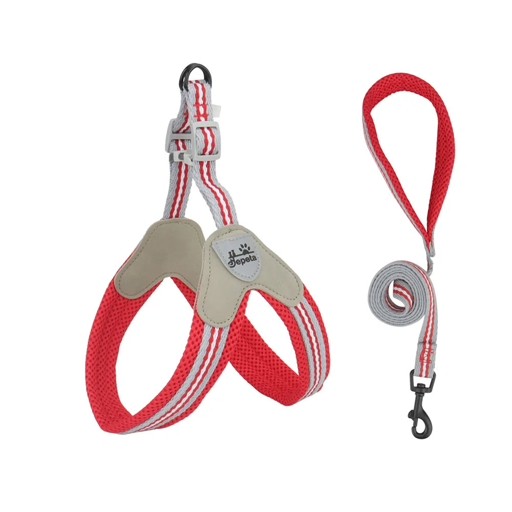 Vest Style Dog Harness Leash Set