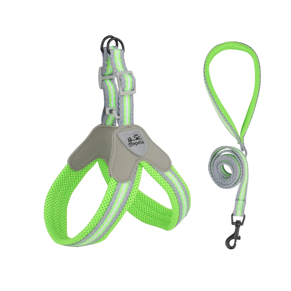 Vest Style Dog Harness Leash Set