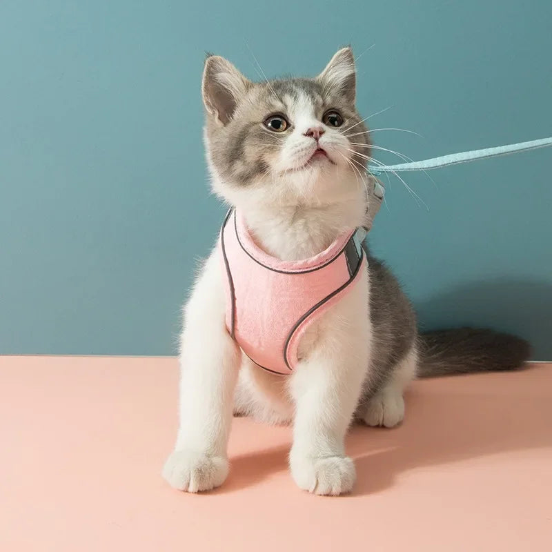 Cat Harness Leash Set for small pets