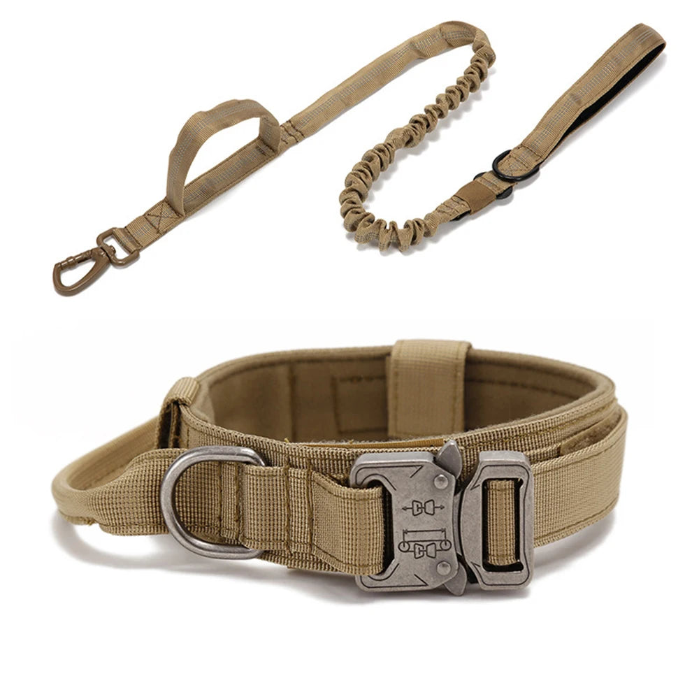 Pet Dog Collar with leash