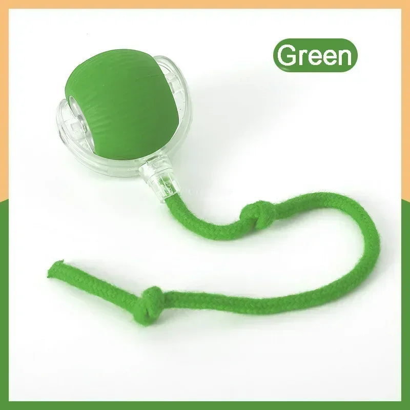 Rechargeable Pet Interactive Automatic Rolling ball