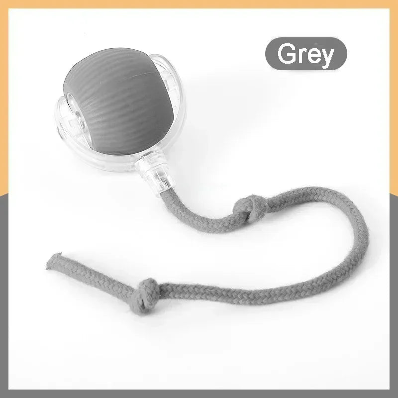 Rechargeable Pet Interactive Automatic Rolling ball